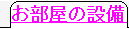 �G�A�R���t�����C���^�[�l�b�g�t�i���P�[�u���j�V�����[�t��